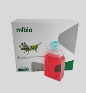 OCM-1人眼脈絡(luò)膜黑色素瘤細胞主圖