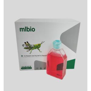 人胃黏膜上皮細(xì)胞主圖