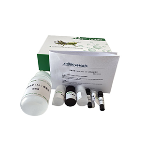 Alanopine脫氫酶&nbsp;(ADH)活性測定試劑盒分光法/48樣主圖