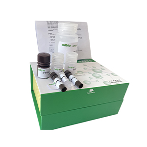 阿魏酸酯酶(FAE)試劑盒-405nm-顯色法微板法/96樣主圖