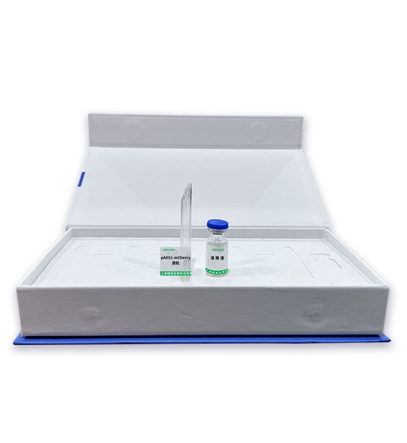 pAX01-mCherry 質粒主圖