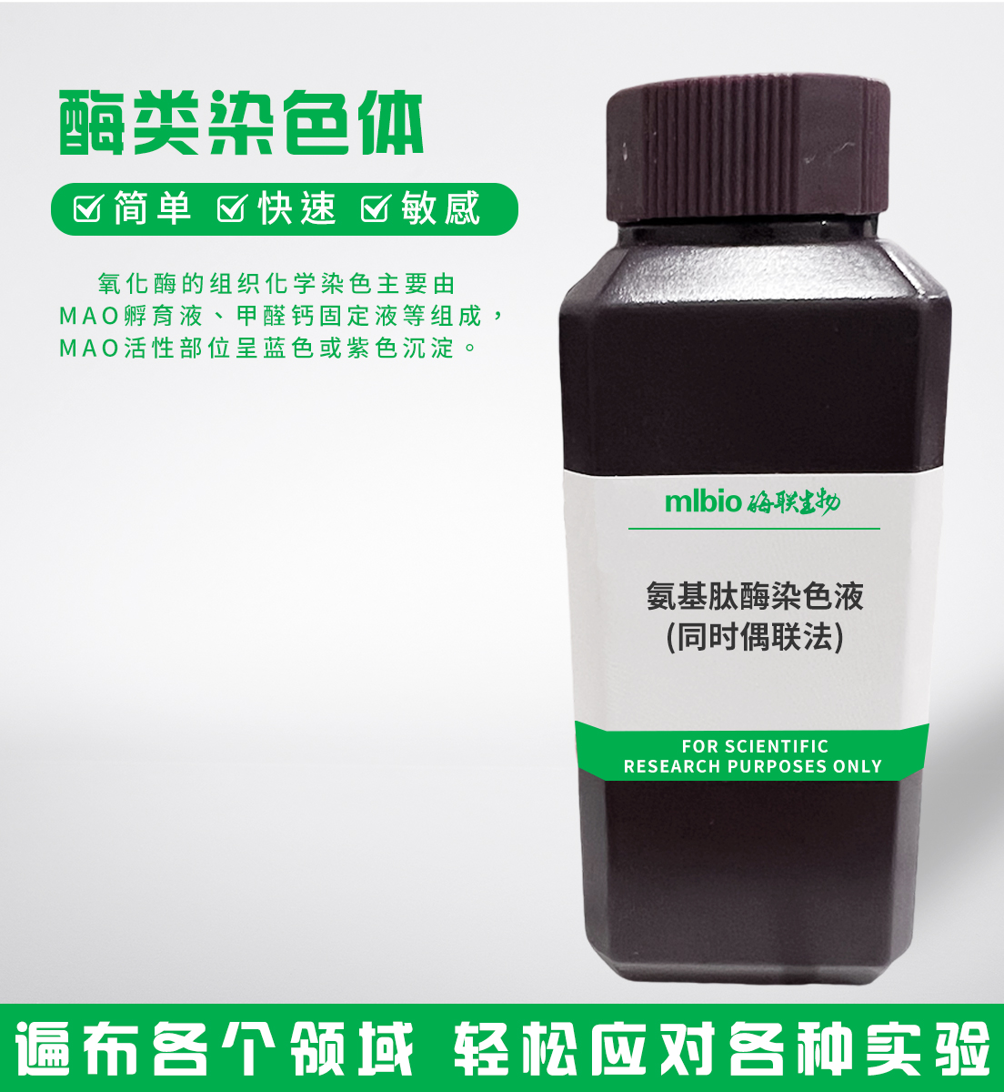 氨基肽酶染色液(同時偶聯(lián)法)主圖