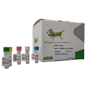 溫和氣單胞菌探針法qPCR試劑盒(不含內參)	Aeromonas sobria Probe qPCR Ki主圖