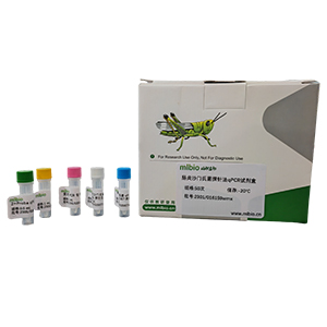 乳酸脫氫酶升高病毒探針法qRT-PCR試劑盒(不含內(nèi)參)主圖