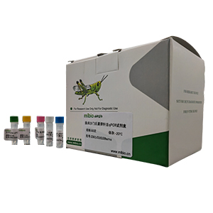 雙歧桿菌屬通用探針?lè)╭PCR試劑盒(不含內(nèi)參)主圖