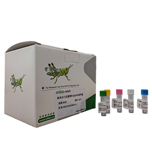 產(chǎn)志賀氏毒素大腸桿菌探針法qPCR試劑盒(不含內(nèi)參)主圖