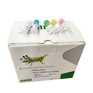 副流感嗜血桿菌Ⅴ型探針法qPCR試劑盒(不含內參)主圖