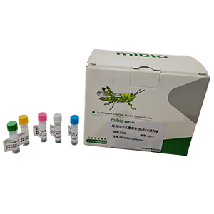 施馬倫貝格病毒探針法qRT-PCR試劑盒（不含內(nèi)參）主圖