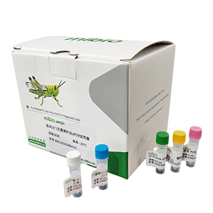 猴病毒40探針法qPCR試劑盒(不含內(nèi)參)主圖