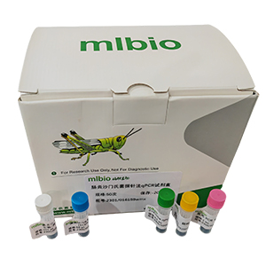 白色念珠菌探針?lè)╭PCR試劑盒(不含內(nèi)參)主圖