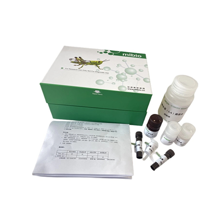 血管緊張素轉換酶(ACE1)活性試劑盒主圖