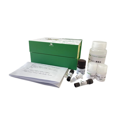 乳糖酶活性試劑盒24樣主圖