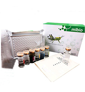 大鼠白細胞介素36(IL-36)試劑盒主圖